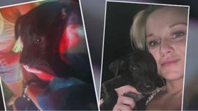 Houston-area woman spends days crawling through storm drain swarming with cockroaches to rescue puppies