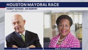 As Whitmire, Jackson-Lee top mayoral poll, voters identify priorities