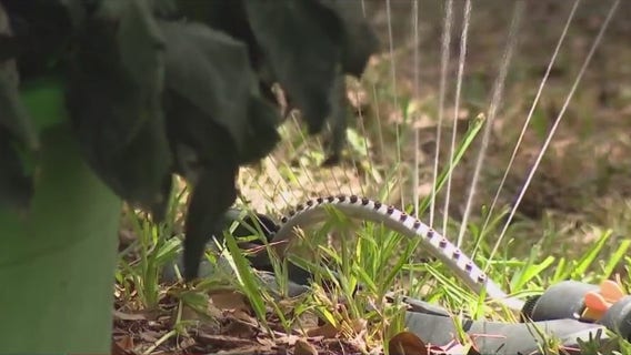 Katy upgraded to Stage 3 Emergency Water Conservation, new watering schedule