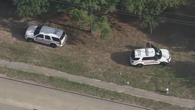 Harris County Sheriff: Human bones found in wooded area of Harris County