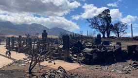 4 family members die in Hawaii wildfire: ‘It’s like a gut punch’