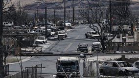 What caused Maui wildfire? Videos put scrutiny on electric company over downed power lines