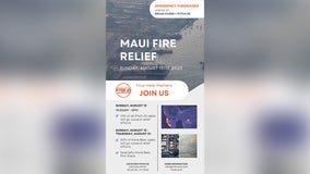 Maui wildfire relief fundraiser held at Pitch 25 in Houston on Sunday