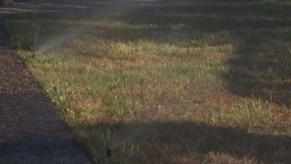 Waller County burn ban in effect: What residents should know