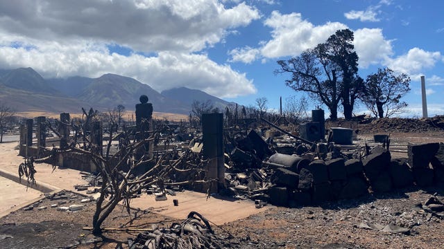 4 family members die in Hawaii wildfire: ‘It’s like a gut punch’