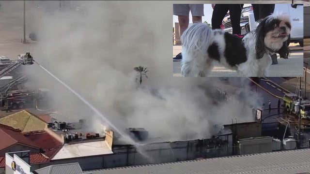 Los Cucos Fire: Couple who ran into burning restaurant to save family's dog reunite with dog's owners