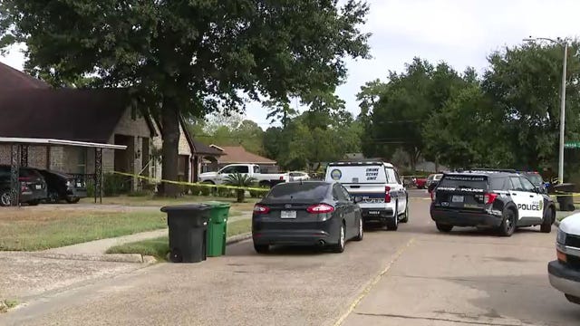 Houston man killed in shooting on Bertwood