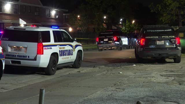 Houston shooting: Man killed after argument outside store on Tierwester