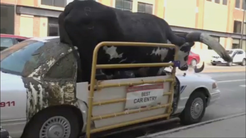 Watch: Bull rides shotgun through Nebraska town, gets pulled over