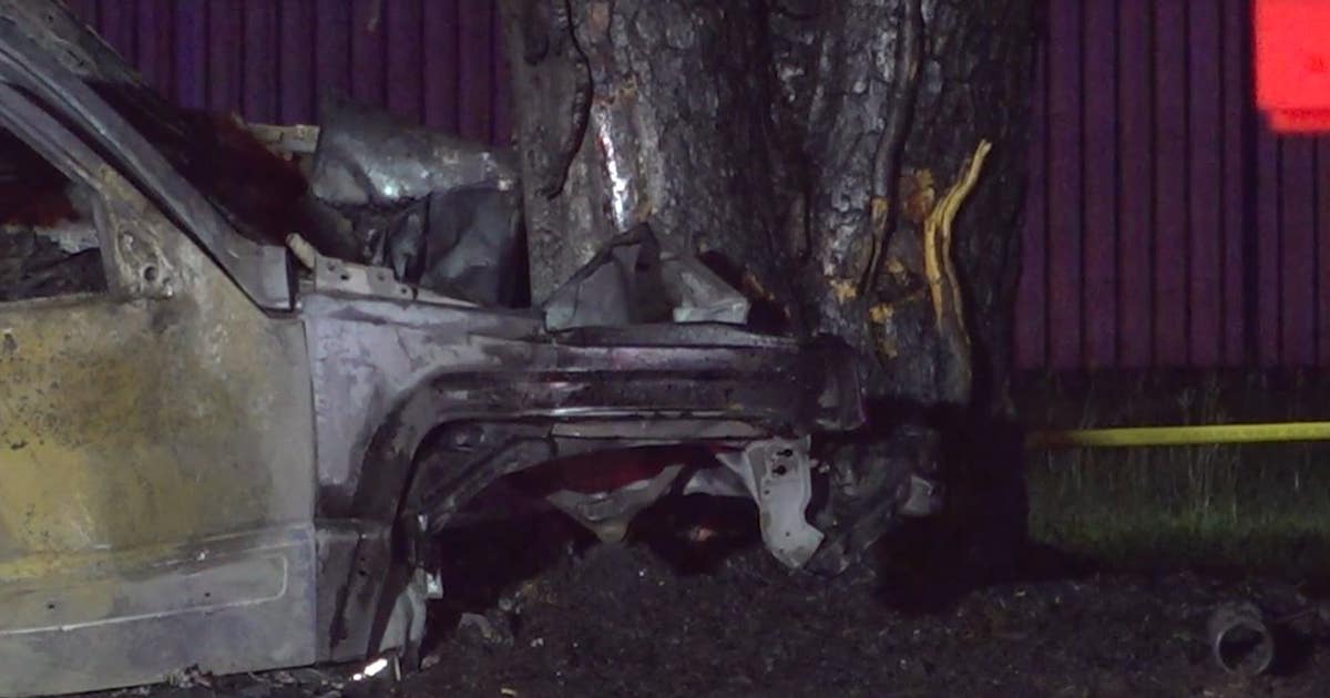 Driver dies after Jeep crashes into tree, catches on fire in north ...
