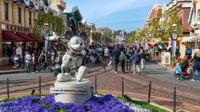 Disneyland alcoholic drinks: Beer, wine, cocktails offered at more locations