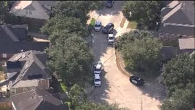 Sugar Land man stabbed, killed 55-year-old mother then turned himself in