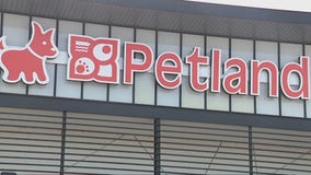 Houston pet store racks up more than 30 citations for selling commercially-bred animals