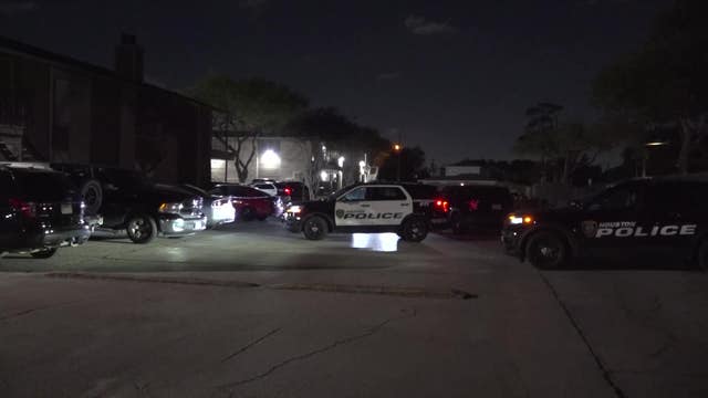 Houston teen shot on Fleming at Northshore apartment complex
