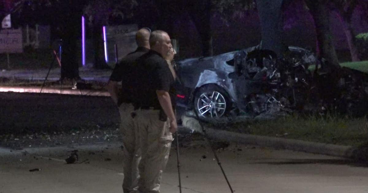 Houston Crash: Driver dies after crashing into tree during a traffic ...