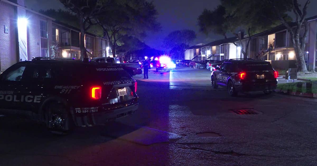 Houston home invasion: Woman shot to death at apartment on Fleming ...