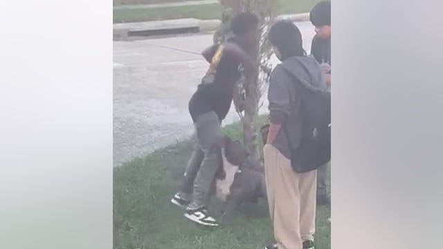 Dog attack on Aldine ISD school bus sends three to hospital