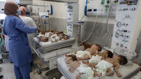 31 premature babies evacuated from Gaza's main hospital days after Israeli forces enter compound