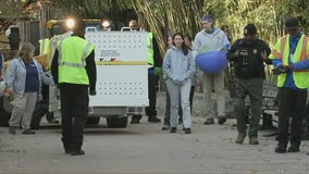 DC's giant pandas depart National Zoo for China