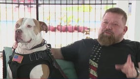 Army veteran, his service dog take Facebook by storm by switching roles