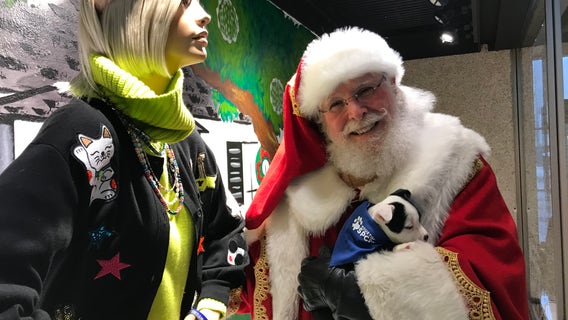 Neiman Marcus, Houston SPCA host Homes for the Holiday pet adoption