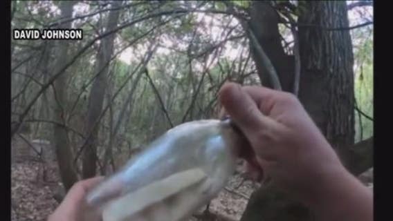 Decades old message in a bottle found near Houston; "You will be blessed by God forever"