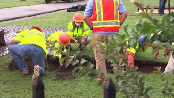 Are your ancestors Black Wall Street massacre victims? Texas families asked to check DNA