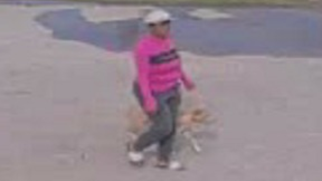 Humble woman seen leaving dog to die while tied to dumpster, police ask for information