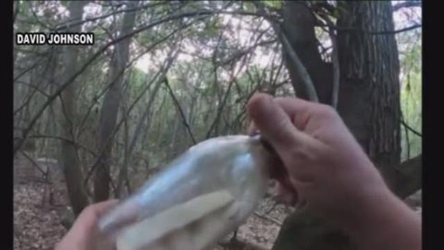 Decades old message in a bottle found near Houston; "You will be blessed by God forever"