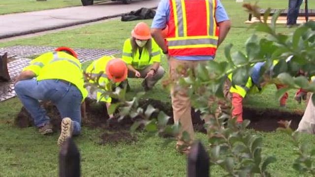 Are your ancestors Black Wall Street massacre victims? Texas families asked to check DNA