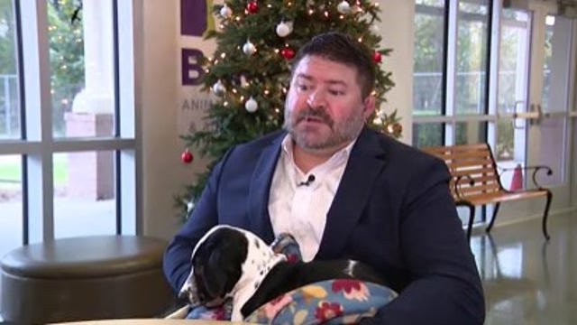Houston animal shelter BARC has new director, first time in 10 years