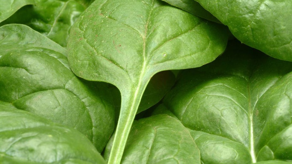 Spinach-recall3.jpg