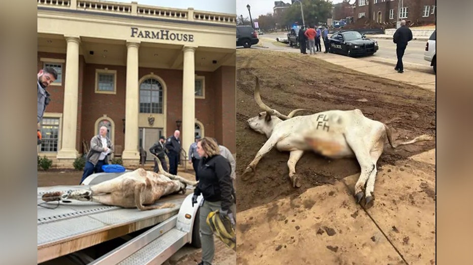 Dead Longhorn Found At Oklahoma State Frat House Ahead Of Big 12 ...