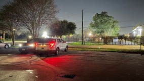 5-year-old shot in north Houston while at Shady Lane Park with family