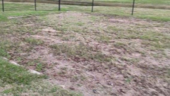 Brazoswood High school track sand pit 'looks like a jungle' as practices begin