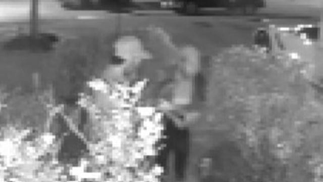 Reunion between owner, French Bulldogs discovered to be dognapping