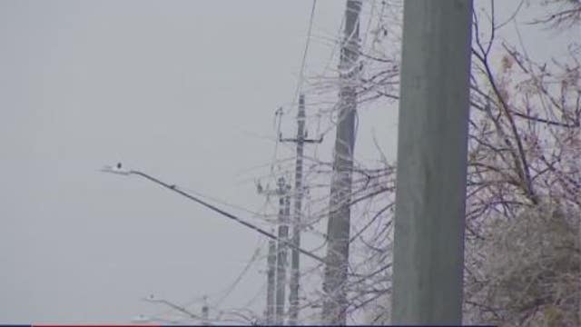 Pets, Pipes, Plants & People: Houston's survival guide for the coming freeze