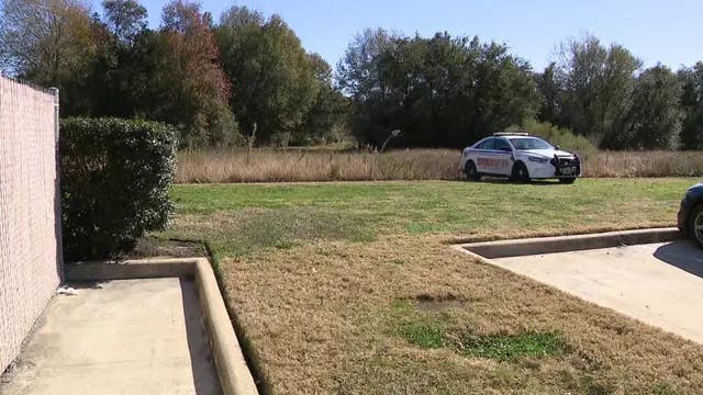 Harris County investigation: Possible human skull found in woods on Baker