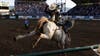 Parking at the Houston Livestock Rodeo 2024: Where to go?