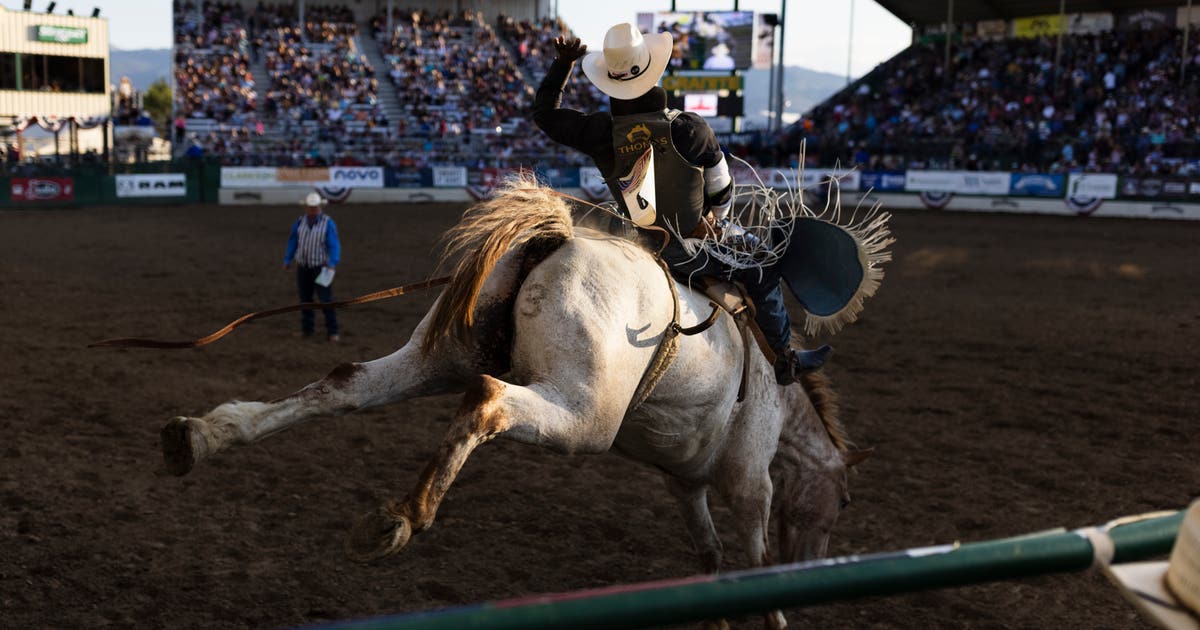 Houston Rodeo 2024: Where to park? | FOX 26 Houston