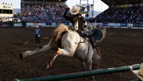 Houston Rodeo 2024: Where to park?