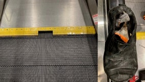 Delta pilot sues, claims airport moving walkway 'swallowed' foot and shoe