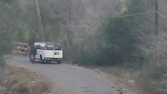 Houston animal cruelty: 'Heartless act' of animal cruelty caught on video