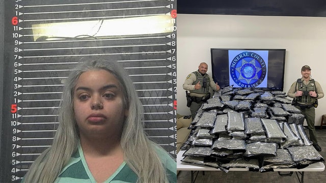 Houston woman arrested for trafficking nearly 300 pounds of marijuana: sheriff