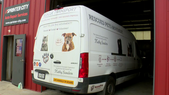 Top pet transport service in Houston facing unprecedented challenge despite saving thousands of lives