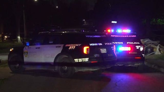 Houston shooting: 1 dead after family-friendly get together on Rosewick