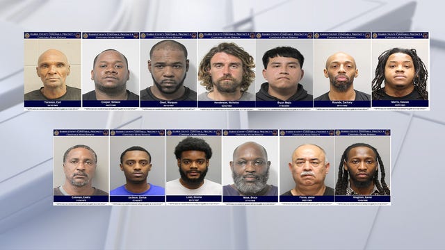 13 men arrested in Harris County prostitution operation