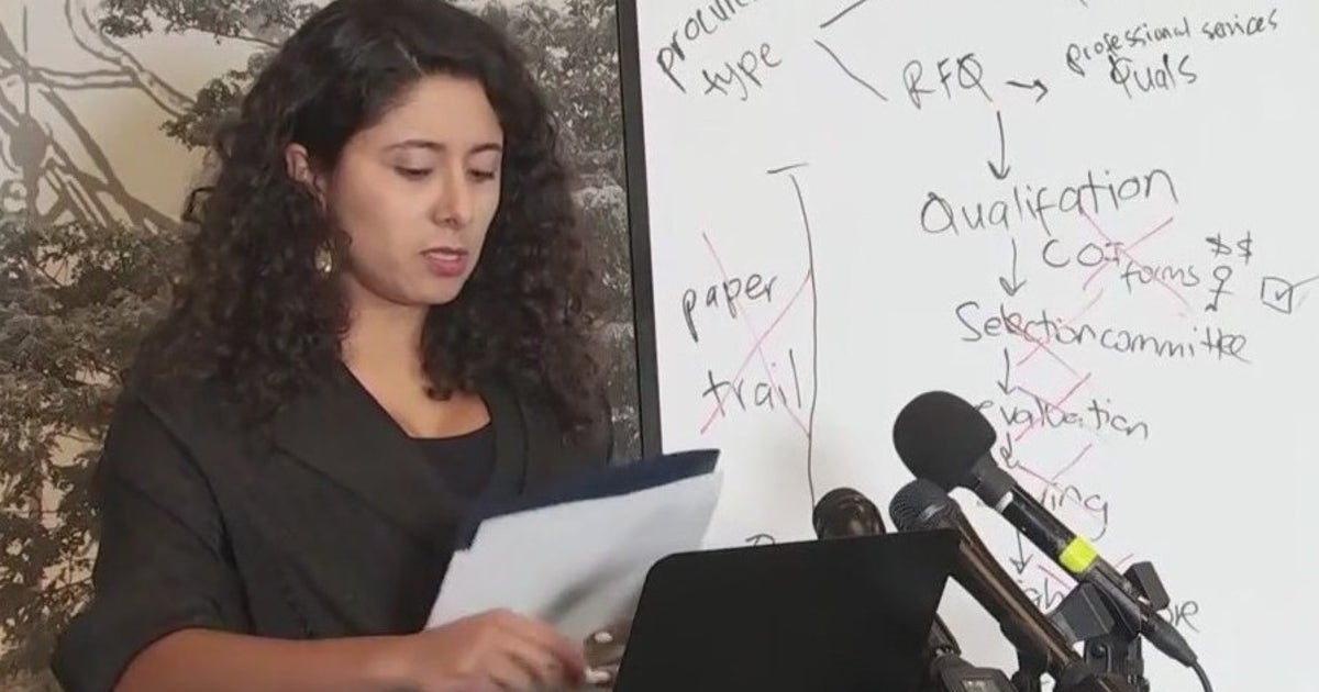Yvonne Ramon Procurement mismanagement in Harris County precincts