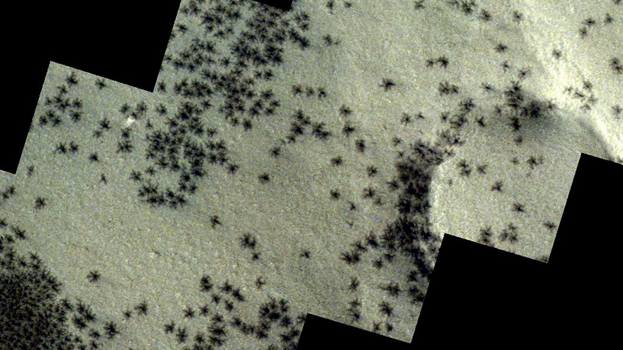 Spiders' seen 'crawling' across Mars' surface | FOX 26 Houston