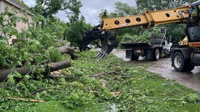 Weather in Houston: Areas heavily impacted by fallen trees, cleanup efforts underway